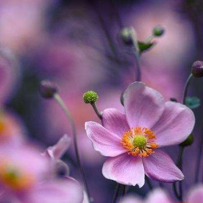 iM综合app官方版(中国)APP下载安装截图3